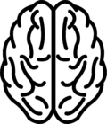 Dr. J.M. Oosterman | Cognitive Aging